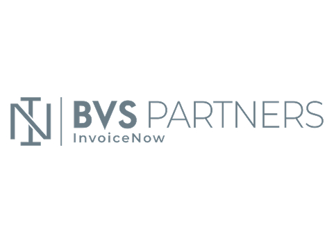 BVS Partners